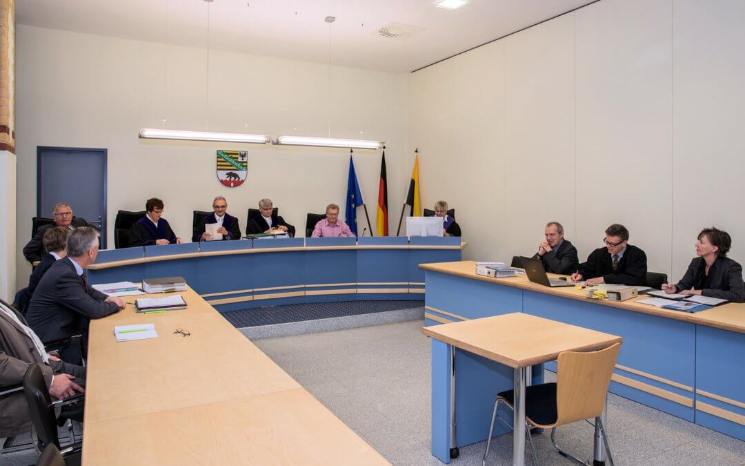 NABU scheitert mit Klage gegen Kormoran-Verordnung in Sachsen-Anhalt