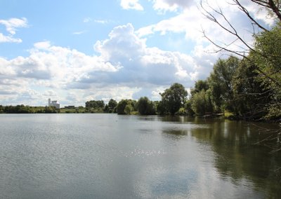 Kiessee in der Königsecke – ehem. Teich II Kühnhausen