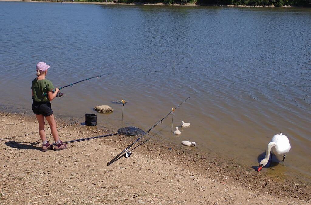Einheitliche Dokumentation – Befreiung von Begleitpflicht für Jugendfischereischeininhaber